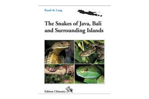 Snakes of Java, Bali
